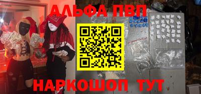 индика Кингисепп