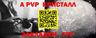 индика Кингисепп