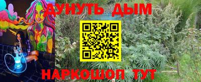 jwh Кинель