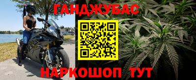 индика Кингисепп