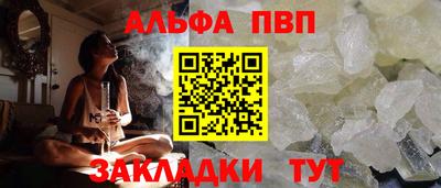 индика Кингисепп