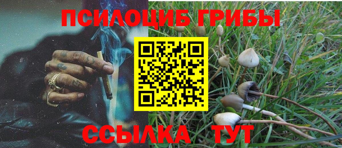 Псилоцибиновые грибы Cubensis  Галлюциногенные грибы Psilocybe  Коммунар  Вход с VPN 